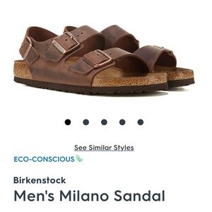 NWOT Birkenstock Milano Sandal with Backstrap (light brown suede)